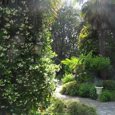 Cuore Verde-2